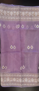 CHIKAN WORK ORGANZA SAREE